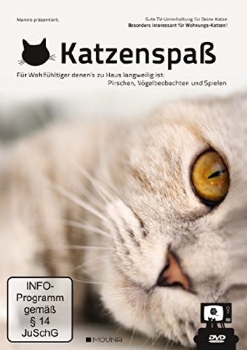 Katzenspaß: Gute TV-Unterhaltung für Deine Katze von AL!VE