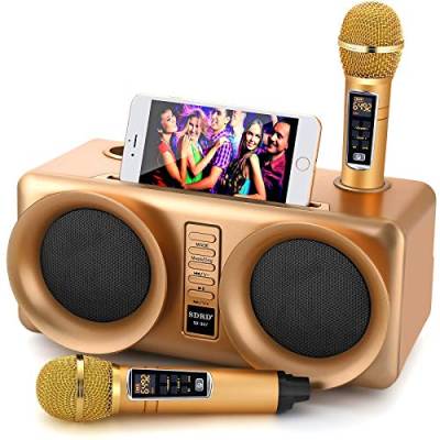 ALPOWL Karaoke Maschine für Kinder und Erwachsene, tragbares Bluetooth-Lautsprecher-PA-System mit 2 UHF-Funkmikrofonen für Heimparty, Hochzeit, Kirche, Picknick, Outdoor/Indoor (Gold) von ALPOWL
