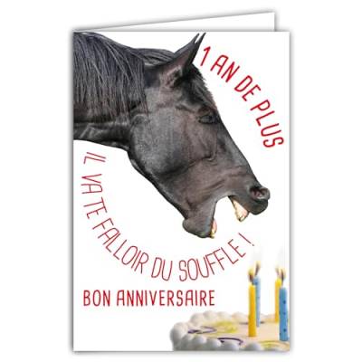 AFIE Glückwunschkarte zum Geburtstag, lustig, 1 Jahr mehr, mit Umschlag illustriert, Format 17,5 x 12 cm, lustiges Pferd, lustig, das Kerzen auf einem Kuchen bläst – Französische Herstellung 69-6209 von Afie
