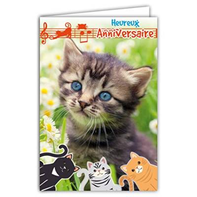 Afie Glückwunschkarte zum Geburtstag, Kätzchen, kleine Katzen, süße Blumen, Paqueretten, Musik, Notenschlüssel, hergestellt in Frankreich von Afie