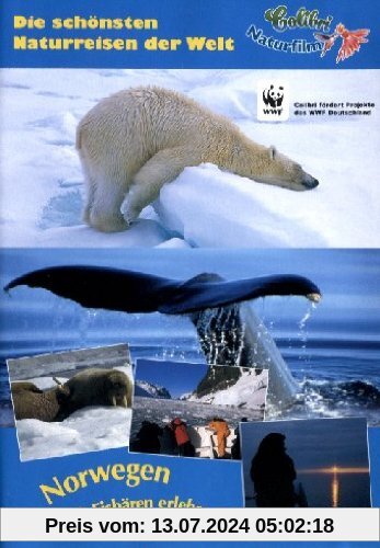 Norwegen Wale & Eisbären erleben von Alexander Sass