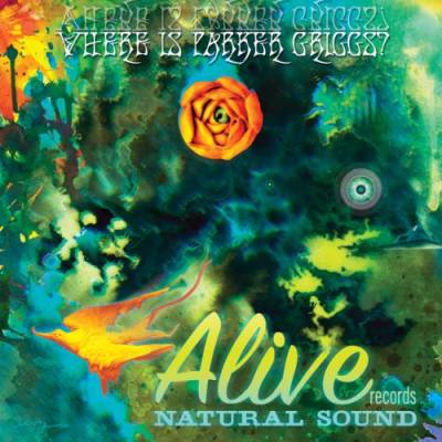 Where Is Parker Griggs? [Vinyl LP] von Alive Records
