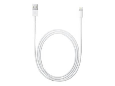 Apple Lightning auf USB 0,5m, weiß von Apple