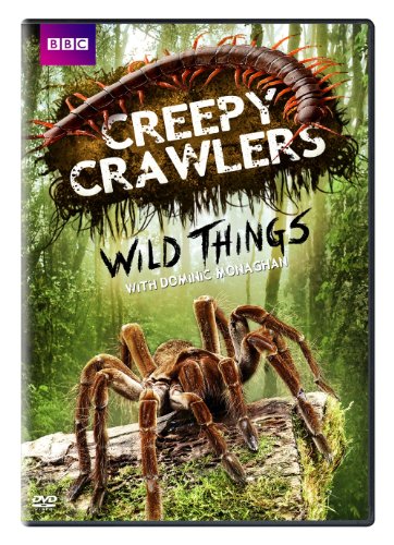 Wild Things With Dominic Monaghan: Creepy Crawlers [DVD] [Region 1] [NTSC] [US Import] von Warner Home Video