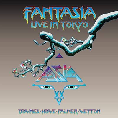Fantasia,Live in Tokyo 2007 [Vinyl LP] von BMG RIGHTS MANAGEMEN