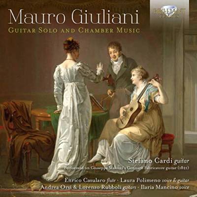 Giuliani:Guitar Solo and Chamber Music von BRILLIANT CLASSICS