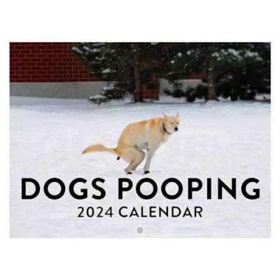 Berichw Wandkalender 2024 mit Hundekaka, lustiger Hundemotiv, Wandkalender 2024 für Weihnachtsgeschenke von Berichw