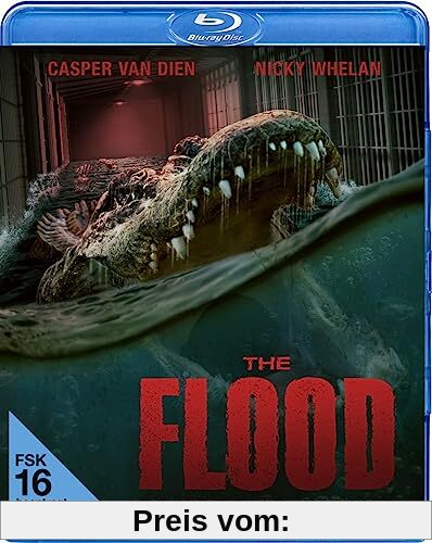 The Flood [Blu-ray] von Brandon Slagle