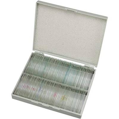 Bresser Mikroskop Dauerpräparate, 100 Glas-Objektträger mit gefärbten Präparaten aus der Biologie, für Hobby, Schule und Unterricht von Bresser