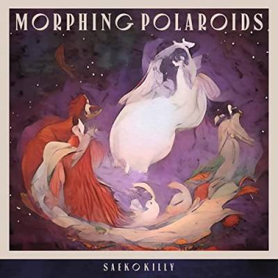 Morphing Polaroids [Vinyl LP] von Bureau B