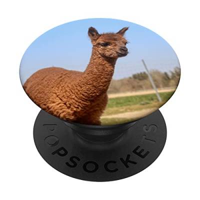 Alpaka PopSockets mit austauschbarem PopGrip von CJ Merch
