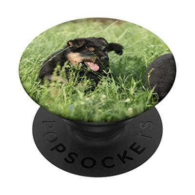 Bohemian Shepherd Dog Puppy Dog Lover PopSockets mit austauschbarem PopGrip von CJ Merch