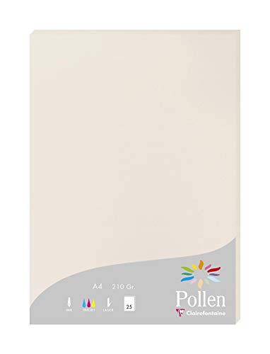 Clairefontaine 24268C Packung mit 25 Karten Pollen 210g, DIN A4, 21 x 29,7cm, Grau von Clairefontaine
