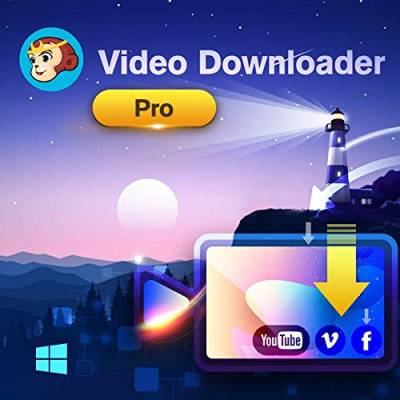 DVDFab Video Downloader PRO Win (Product Keycard ohne Datenträger) von DVDFab