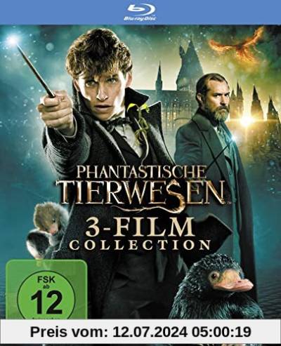 Phantastische Tierwesen 3-Film Collection [Blu-ray] von David Yates