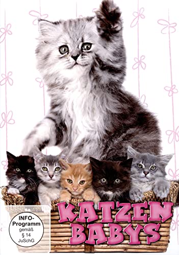 Katzenbabys [3 DVDs] von Deutsche Austrophon GmbH