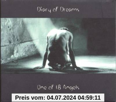 One of 18 Angels von Diary of Dreams