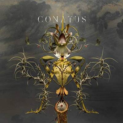 Conatus [Vinyl LP] von Dolce & Gabbana