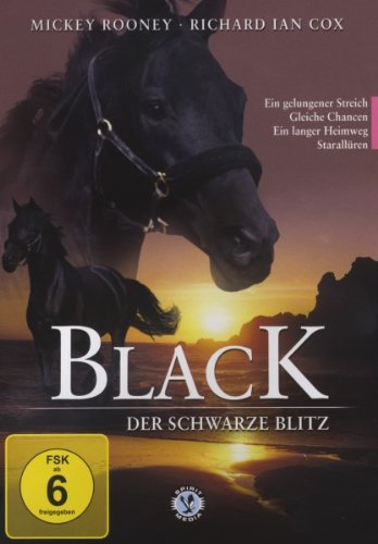 Black - Der schwarze Blitz DVD 1 von Edel Germany GmbH