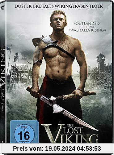 The Lost Viking von Emmet Cummins
