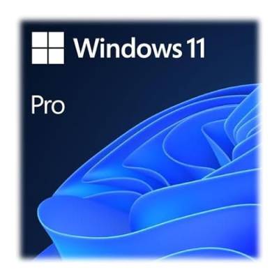 Ernitec Windows 11 Pro OEM-Marke von Ernitec