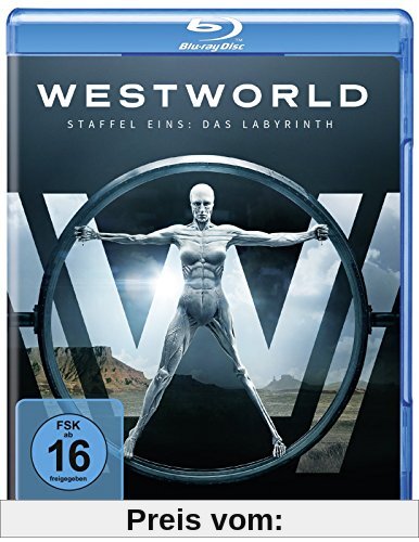 Westworld - Die komplette 1. Staffel [Blu-ray] von Evan Rachel Wood