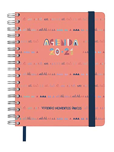 Finocam - Kalender 16 Monate 2020 - 2021 Viertel - 155 x 217 Wochenansicht Vitae, Lachs, Spanisch von Finocam