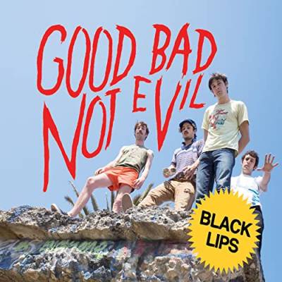 Good Bad Not Evil (Deluxe Edition / Sky Blue) von Fire