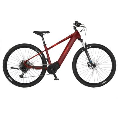 Montis 7.0i, Pedelec von Fischer Fahrrad