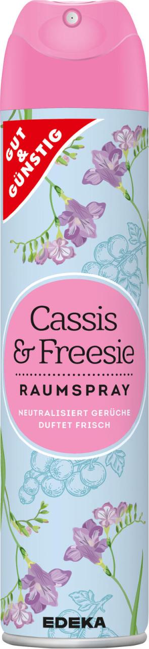 GUT&GÜNSTIG Raumspray Cassis & Freesie 300,0 ml von GUT&GÜNSTIG