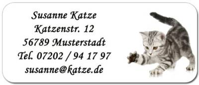 Adress-Etiketten"Katzenbaby" mit Ihrem Wunschtext, 160 Stück, ca. 56 x 23 mm, für bis zu 5 Zeilen Text von Geschenke mit Namen