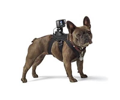 GoPro Zubehör Fetch Hundegeschirr - geeignet für HERO4/HERO3+/HERO3/HD HERO2/Original HD HERO/HERO (Offizielles GoPro-Zubehör) von GoPro