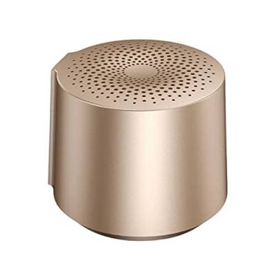 HOAIYO Tragbarer Drahtloser Bluetooth-Lautsprecher, TWS Stereo, BT 5.0 mit Mikrofon, 6 Stunden Spielzeit Taschenlautsprecher für Zuhause Reisen Geschenke (Gold) von HOAIYO