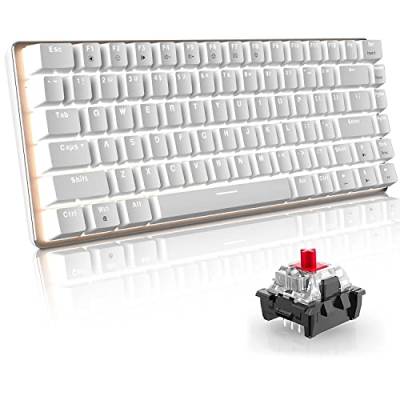 60% Mechanische Gaming-Tastatur Hot Swapable-Taste 82 Keys Kabelgebundene Typ-C Kompakte Tastatur mit weißem LED-Hintergrundbeleuchtung, ergonomisches Design für Gamer/Typisten (roter Schalter, weiß) von Hoopond