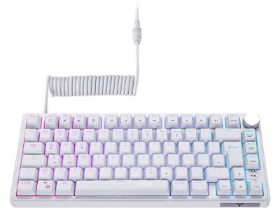 ISY IGK- 6500 Gasket Mount, Gaming Tastatur, Mechanisch, Sonstiges, Kabelgebunden, Weiß von ISY