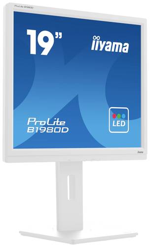 Iiyama ProLite LED-Monitor EEK E (A - G) 48.3cm (19 Zoll) 1280 x 1024 Pixel 5:4 5 ms VGA, DVI TN LED von Iiyama