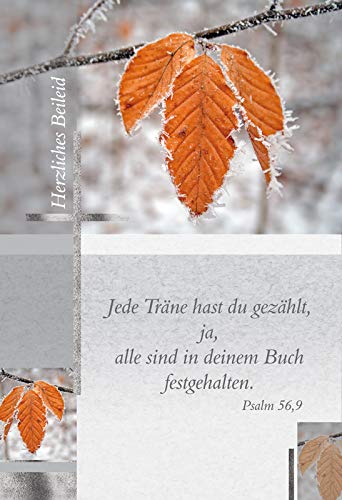 Kollektion Reuter Trauerkarte/Beileidskarte/Kondolenzkarte mit Bibelvers; mit Briefumschlag, 80-0462 von Kollektion Reuter