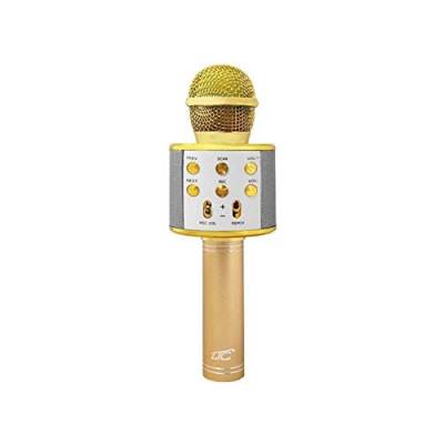 LTC MIC100 Drahtloses Bleutooth Mikrofon mit Lautsprecher Karoke Handmikrofon 5W UKW-Radio microSD (Rosa/Gold) von LTC