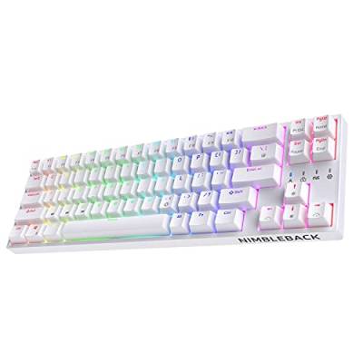 LTC NB681 Nimbleback Mechanische Tastatur, 65% Layout, RGB-Hintergrundbeleuchtung, Hot-Swap-fähigem braunen Schalter und Stand-Alone-Pfeil-/Steuertasten, Weiß von LTC