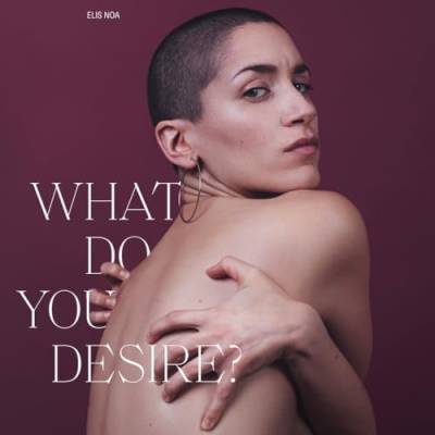 What Do You Desire? (Lim. Black Vinyl) [Vinyl LP] von Las Vegas Records (Broken Silence)