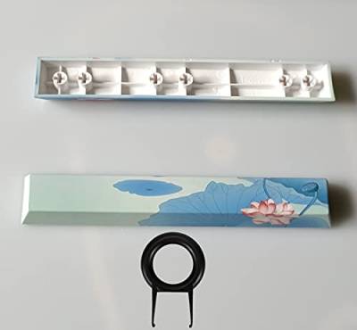 Leertastenkappen, DIY-PTB-Tastenkappen, 6.25U, 6.25X Space Keycap OEM-Profil-Tastenkappen für DIY mechanische Tastatur – eine Vielzahl von personalisierten Mustern optional (kit39) von Lelukee