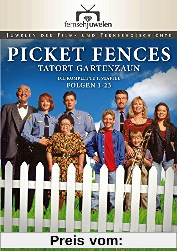 Picket Fences - Tatort Gartenzaun: Die komplette 1. Staffel (Fernsehjuwelen) [6 DVDs] von Michael Pressman