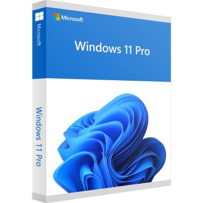 Windows 11 Pro - Produktschlüssel - Vollversion - Sofort-Download - 1 PC von Microsoft