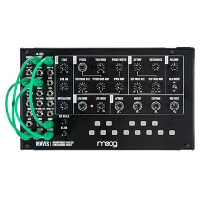 MOOG Mavis - Standalone semi-modulares Analog-Synthesizer-Kit mit Keyboard, Analog-Oszillator, Filter, Hüllkurvengenerator, Wavefolder, Staubschutz von Moog