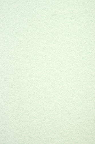 Netuno 20x Marmorkarton Grün DIN A4 297 x 210 mm 180g Aster Laguna Green Motivpapier Effektpapier beidseitig marmoriert Designpapier Spezialpapier marmoriert Ausstattungspapier Urkundenpapier von Netuno