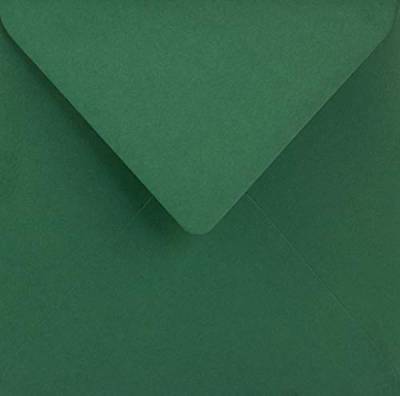 Netuno 25 Umschläge quadratisch Dunkel-Grün 153 x 153 mm 115g Sirio Color Foglia Briefumschläge Hochzeit Geburtstag Weihnachten Briefhüllen bunt hochwertig elegante Einladungsumschläge farbig von Netuno