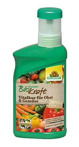 Neudorff BioKraft Vitalkur für Obst & Gemüse vitalisiert durch natürlichem Schachtelhalm schädlings- und krankheitsanfälliges Pflanzen, 300 ml von Neudorff