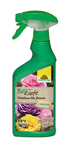 Neudorff BioKraft Vitalkur für Rosen AF vitalisiert schädlings- und krankheitsanfällige Rosen sowie andere Zierpflanzen, 500 ml von Neudorff