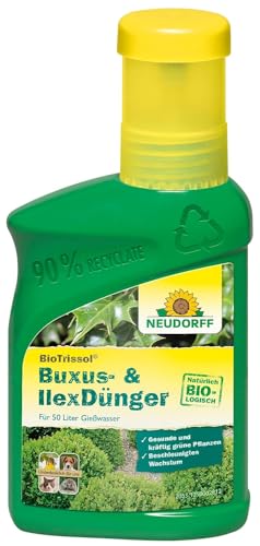 Neudorff BioTrissol Buxus- & IlexDünger - Bio-Dünger für gesunde, tiefgrüne Buxus, Ilex und Immergrüne im Kübel, 250 ml von Neudorff