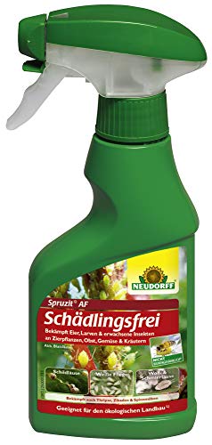 Neudorff - Spruzit AF Schädlingsfrei 250ml von Neudorff